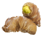 Lemon Aragostine 1.5kg