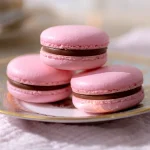 MACARON FOREST FRUIT 2.5KG